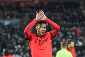 nice-todibo