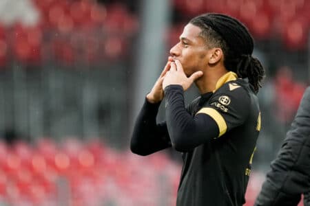 Todibo