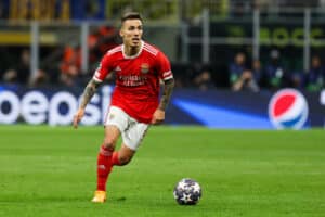 Grimaldo