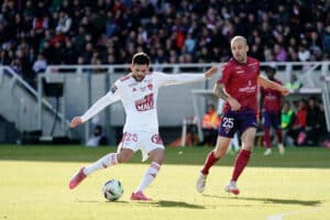 Le Cardinal