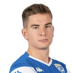 Tommie van de Looi